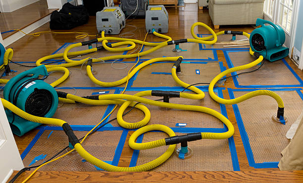 Professional Sewage Cleanup technician working in Medina, NY